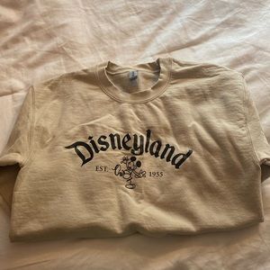 Disneyland sweater in size small